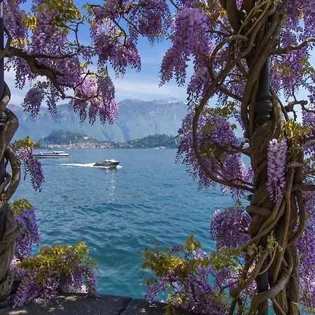 La Torre Dell'isola *